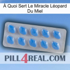 À Quoi Sert Le Miracle Léopard Du Miel 22
